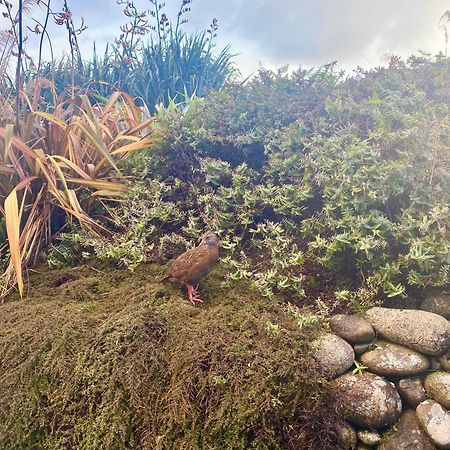 Wild Weka Eco Stay - Off-Grid 4Wd Recommended Waimarie Eksteriør bilde